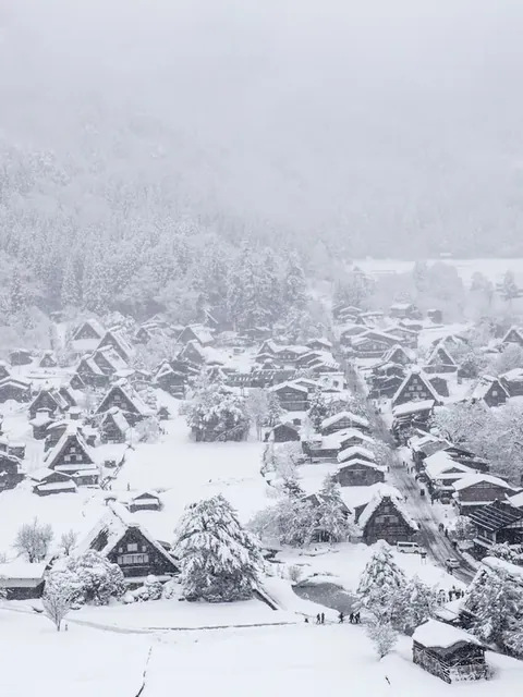雪に埋もれた茅葺き屋根の集落